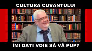 Andrei Pleșu - I Was A Permanent Member Of The Provisional Council