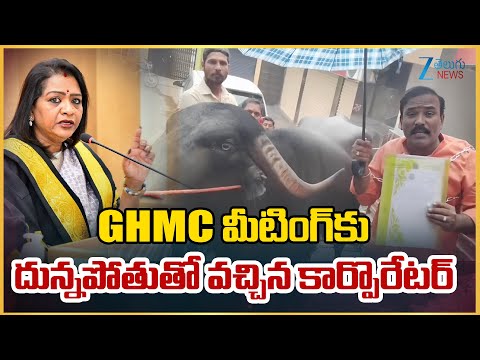 BJP Corporators | GHMC Council Meeting | Hyderabad|GHMC మీటింగ్ కు  దున్నపోతుతో వచ్చిన కార్పొరేటర్ - ZEE24TELUGUNEWS