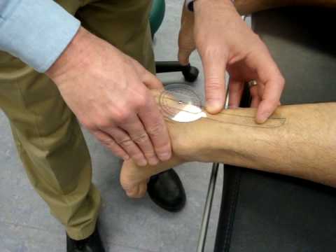 Invertion/Evertion (ankle)