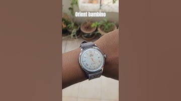 orient watches. orient bambino on Grey suede strap.#orientwatches #wristroll