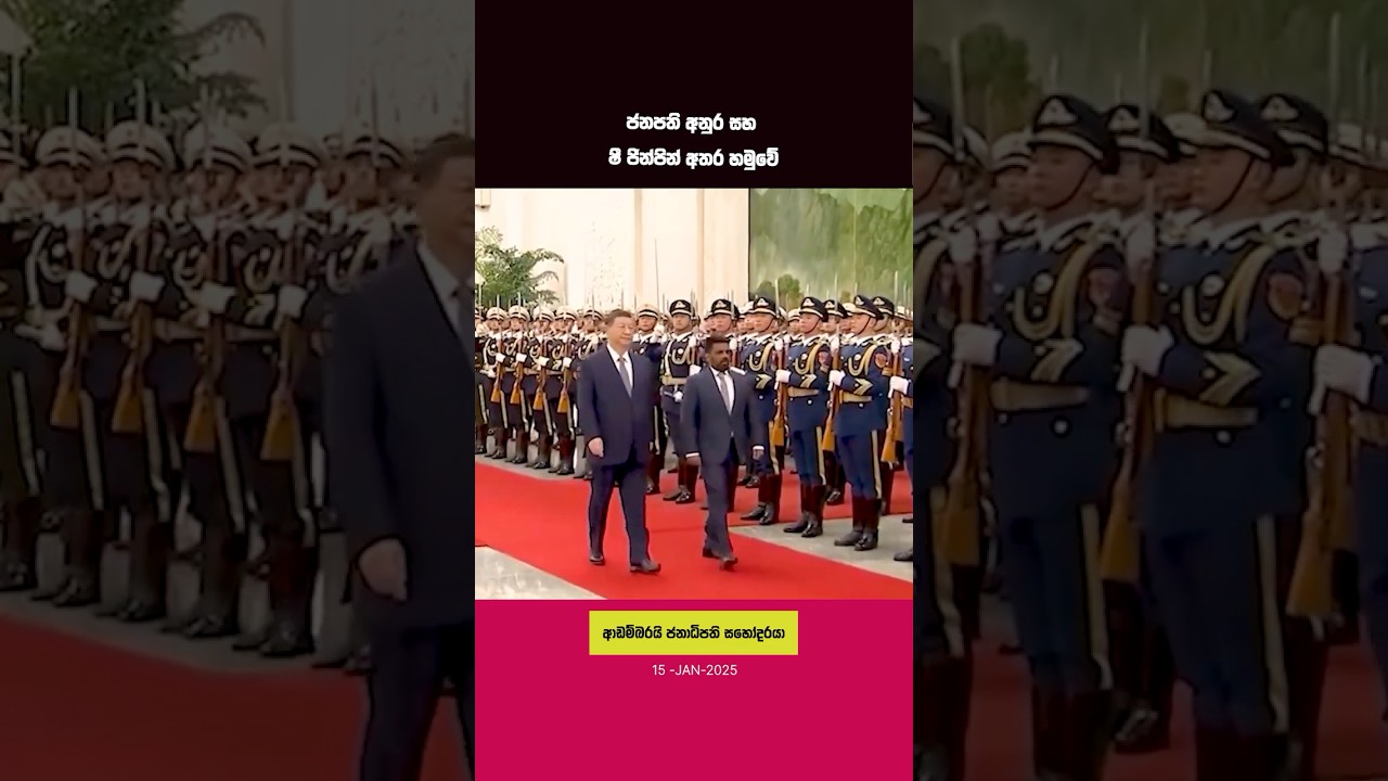 කොහොමද තඹුත්තේගම කොල්ලට තියෙන පිලිගැනීම 