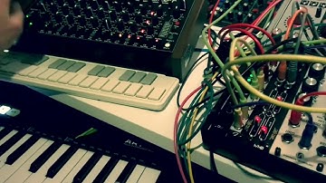 Intellijel Atlantis & MFB Tanzbar #300