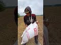TUTORIAL PENYEBARAN KOHE