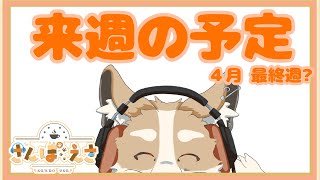 【雑談】来週の予定!!2024/4/29~【#Vtuber #さんぽらいぶ】