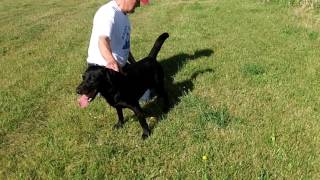 Hank 30 Sec Delay Hunt