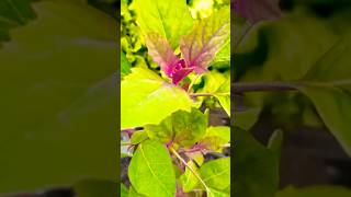 Download Lagu https://youtu.be/VyIlS4L12cI?si=L62uSqEzQPdzZtcm MP3