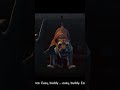INTO THE DEAD 2 TIGER AND MAN ZHSTAR animation pikpok INTO THE DEAD 2 TIGER AND MAN ZHSTAR animation pikpok