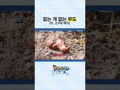 박명수 무도 짬바