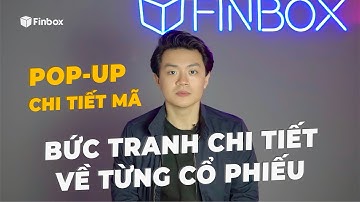 Xem Ngay Bức Tranh Chi Tiết Từng Mã Cổ Phiếu l Hướng Dẫn Sử Dụng Popup Mã Cổ Phiếu Finbox