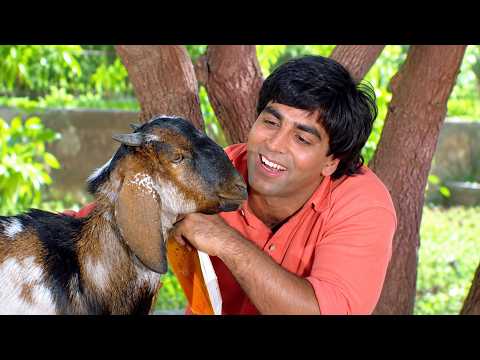 जब 500 की बकरी को 25,000 में बेच आया राजा 🤣| Akshay Kumar Comedy Scene