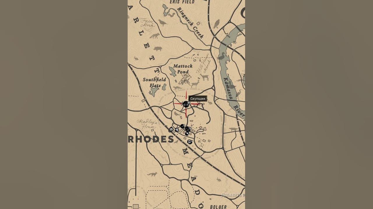 RDR2 "Abalone Shell Fragment" location Расположение "Осколока