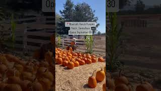 Best Pumpkin Patches in Marin & Sonoma County #explore #familyfun #pumpkin #fall #sonomacounty Net Worth