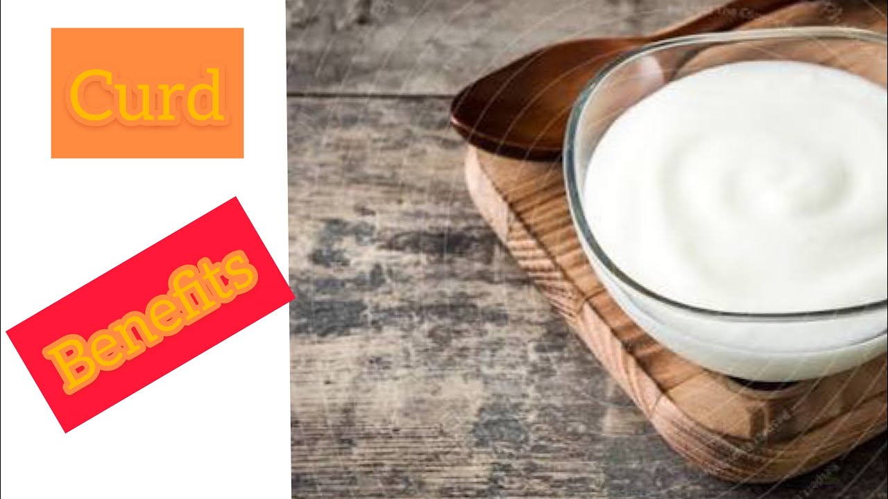 Benefits of curd in hindi YouTube