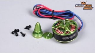 HobbyKing Daily - MultiStar Motors