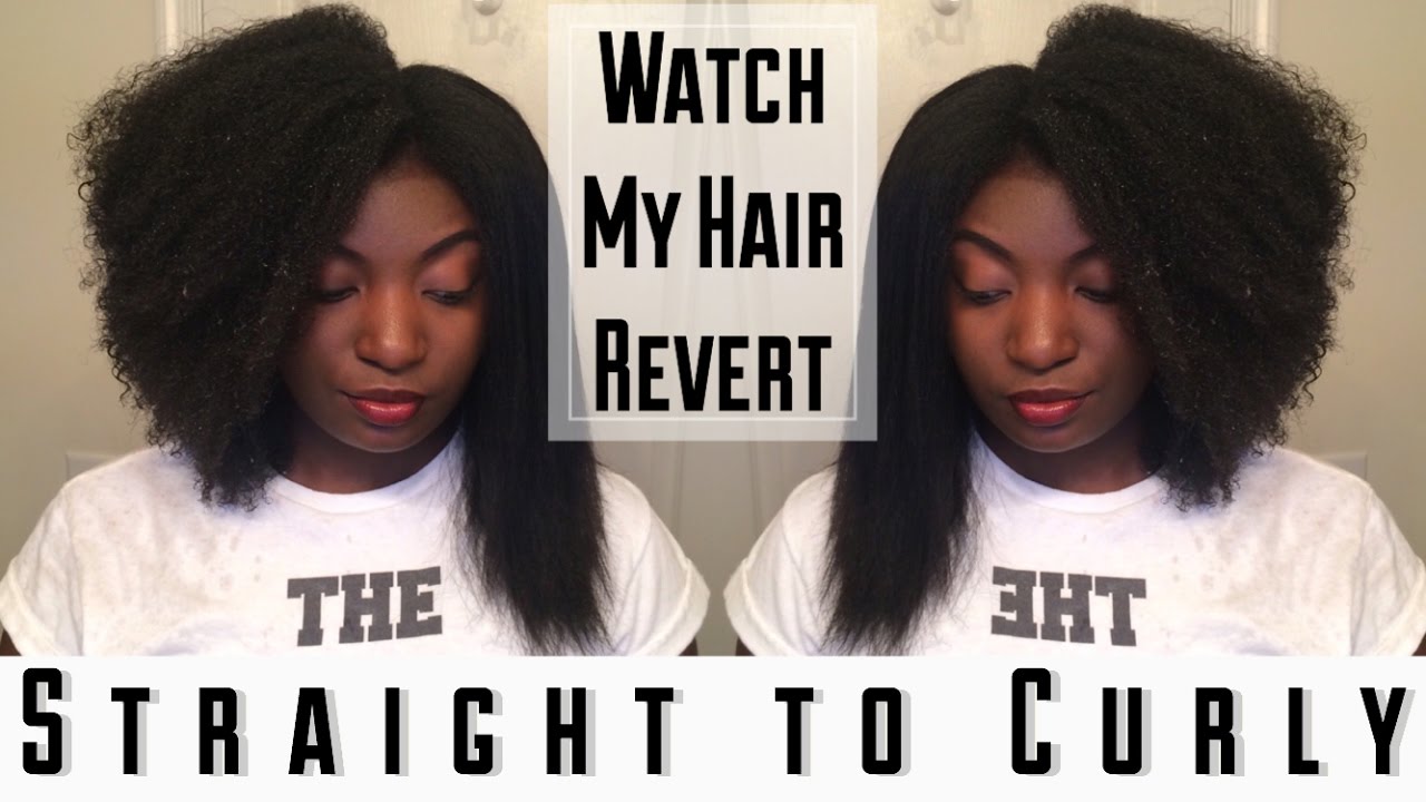 Straight to Curly Hair Reversion | Type 4 Natural Hair | Nay Lashay ...