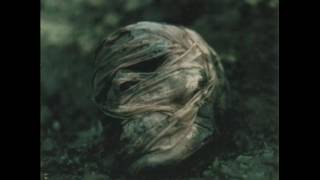 LAPUTA - Vertigo -