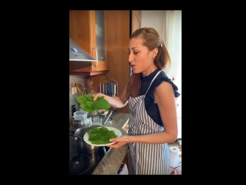 CB Cooks: Carolina Doriti Makes Dolmades Avgolemono - YouTube