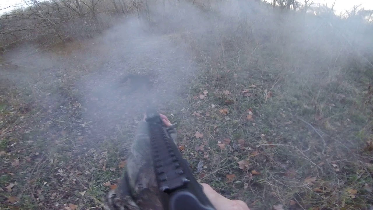 Hunting pigs with an AK-47