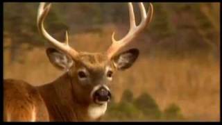 Quebec Outfitters Federation Qof - Hunting Teaser