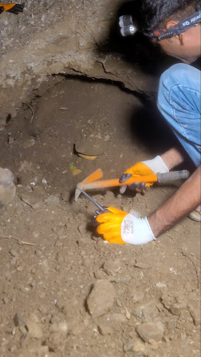 Har har Mahadev 🔱 #mahadev #mahakal #youtubeshorts #ytshorts #shorts #trending #shortvideo #viral lp