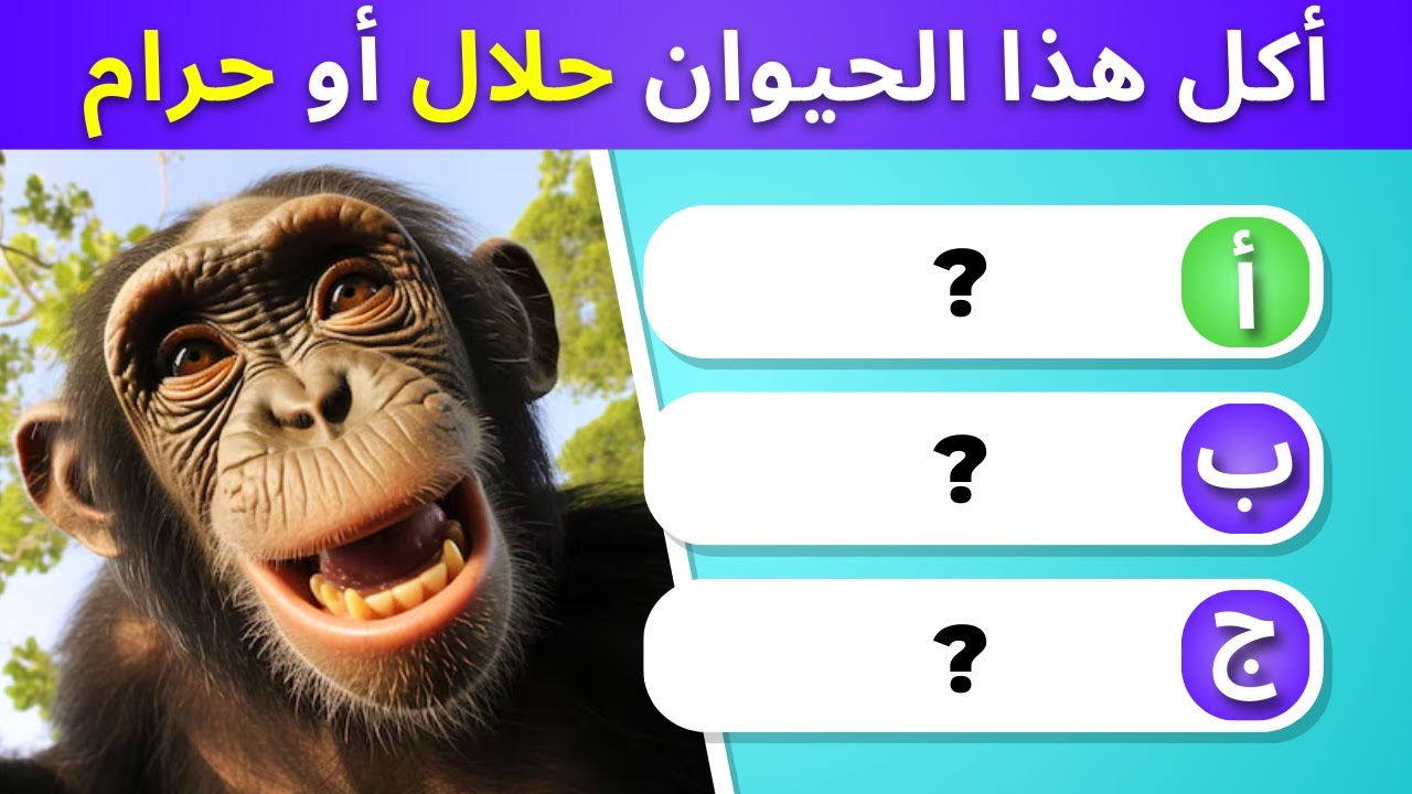 الحيوانات الحلال و الحرام للأكل ✅ ❌ (بدون موسيقى)