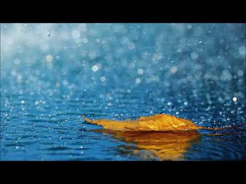 [덧부르기] 마로니에 - 칵테일 사랑