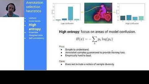 ECCV 2020 WSL tutorial: 4. Human-in-the-loop annotations