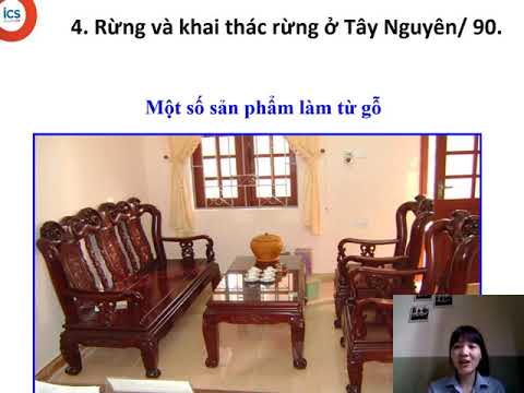 Lớp 4 - Tuần 9 - Địa lý - Thiên nhiên và hoạt động sản xuất của con người ở miền núi và Trung du - Hoạt động sản xuất của người dân ở Tây Nguyên