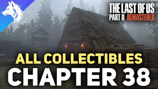 All Collectible Locations In Chapter 38 The Island - The Last Of Us Part 2 Remastered