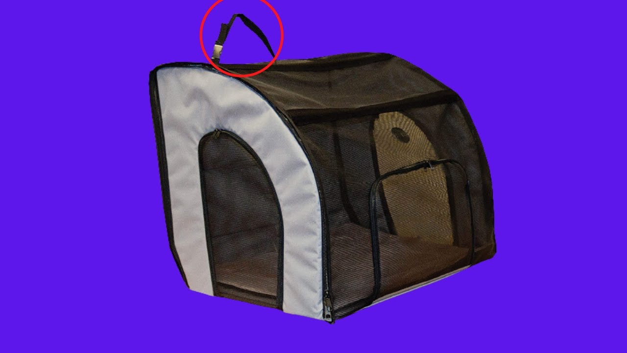 Before You Buy K&H PET PRODUCTS Travel Safety Pet Carrier YouTube