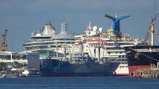 Carnival Paradise and Serenade of the Seas Depart Tampa!