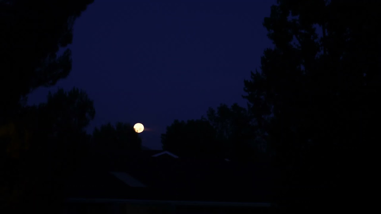 Full moon setting at dawn on Aug  3, 2020