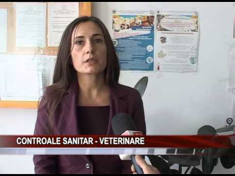 Video: Kako Pronaći Jeftine Veterinare