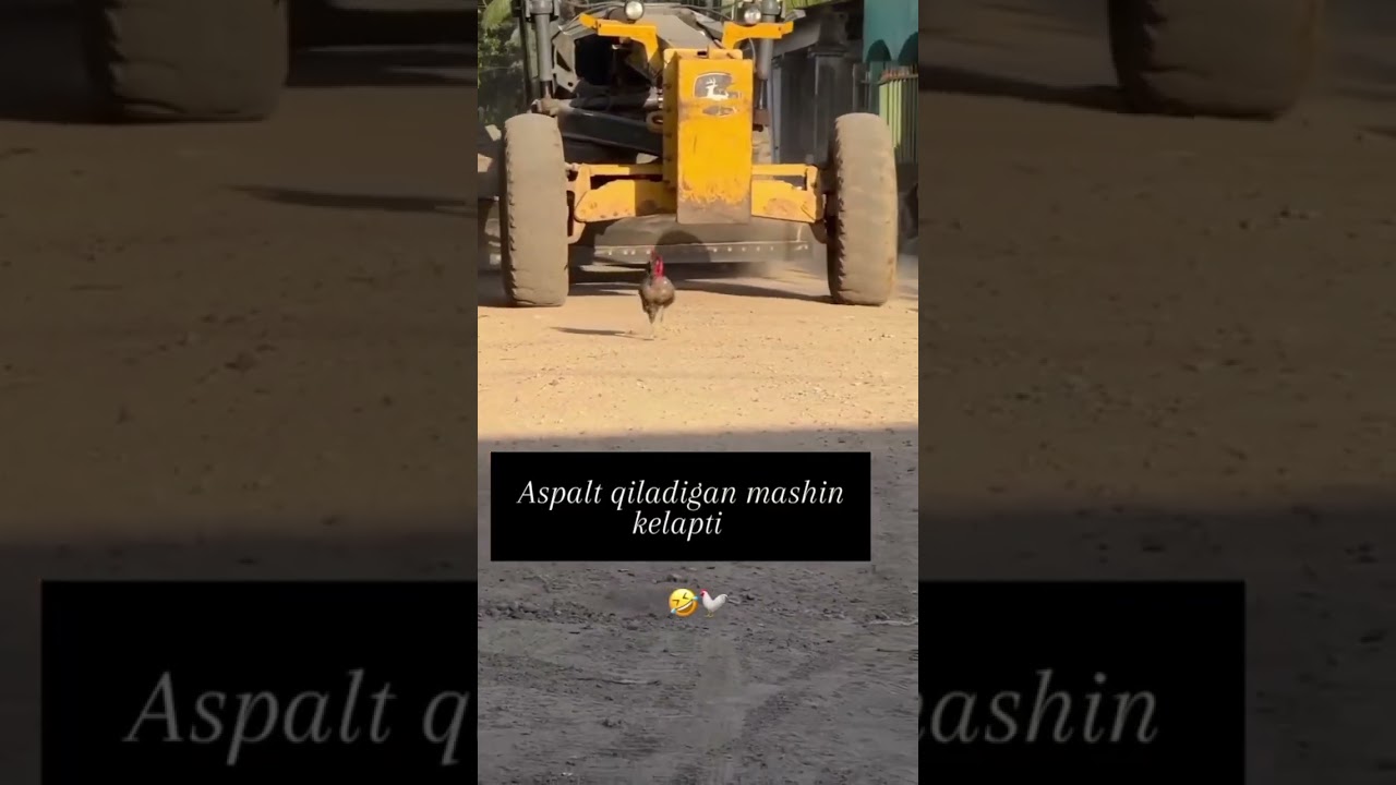 qõshnilar layk bosadigan moshin keldi bosilar