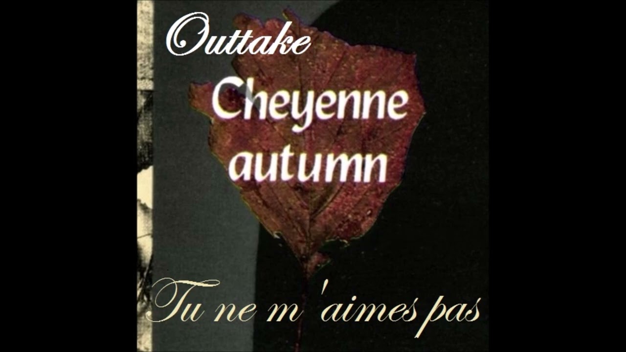 Jean-Louis Murat - Tu ne m'aimes pas (inédit 1987)