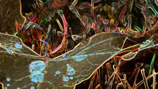 Download Lagu David Antony Clark - Rainmakers.MP4 MP3