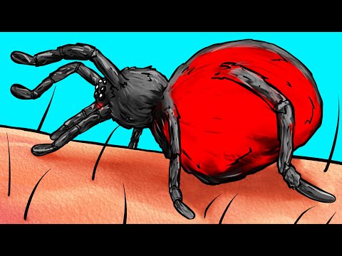 Video: Was würde passieren, wenn Sie von einer radioaktiven Spinne gebissen würden?