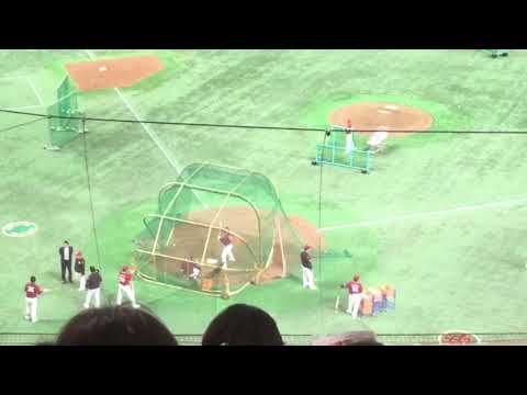 茂木栄五郎 試合前フリー打撃