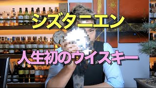 【思い出のウイスキー】初めてのウイスキーは…ジャックコーク！~JackCoke ~