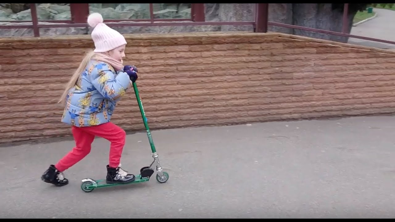 Поход в зоопарк - YouTube