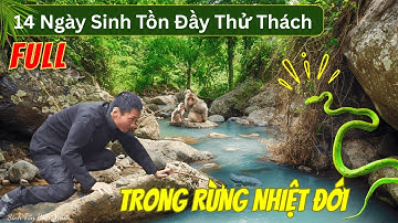FULL PHẦN 4: 🔥 Sống Sót 14 Ngày Trong Rừng Nhiệt Đới – Câu Cá, Đóng Bè, Sinh Tồn Chất Như Nước Cất!