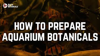 Botanical Preparation Instructions For Blackwater, Biotope & Botanical Method Aquariums