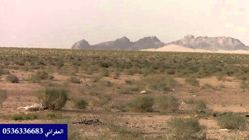 شيلة بعض النفوس توسع الصدر والبال وبعض النفوس تجيب لصدر ضيقه