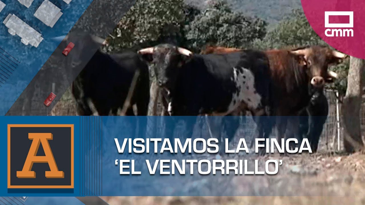 Visitamos la finca 