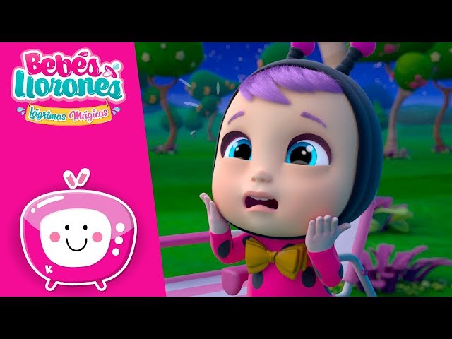 🤩 TODOS LOS EPISODIOS DE 😲 BEBÉS LLORONES 💧 LÁGRIMAS MÁGICAS 💕 