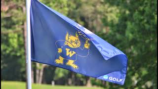 Webster University vs Lyon College Baseball - Game 1 - 05/01/26