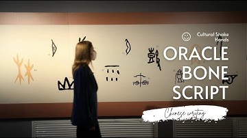 【文化鲜体验|趣聊甲骨文爱上中国字】Oracle bone script: the earliest known form of Chinese writing