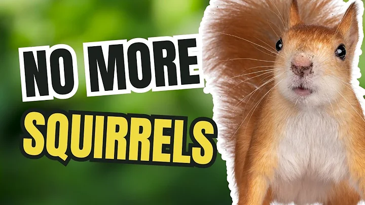 5 EASY Tips to Keep Squirrels Off Your Bird Feeders