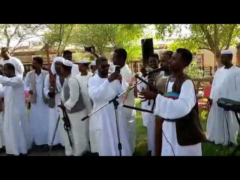 الشرقي النيل محمد حامد 