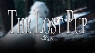 The Lost Pup (2020)